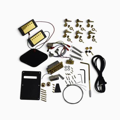 Gold hardware in the kit: six tuners, tremolo bridge with arm, two humbuckers, knobs, toggle switch, black covers and solderless wiring
