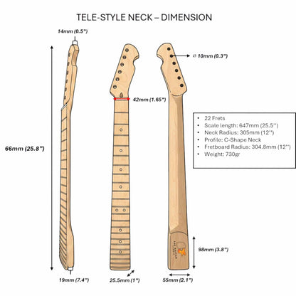 Diagram of a Tele-style guitar neck with dimensions labeled of the whole neck for customer to refer to its technical specs 