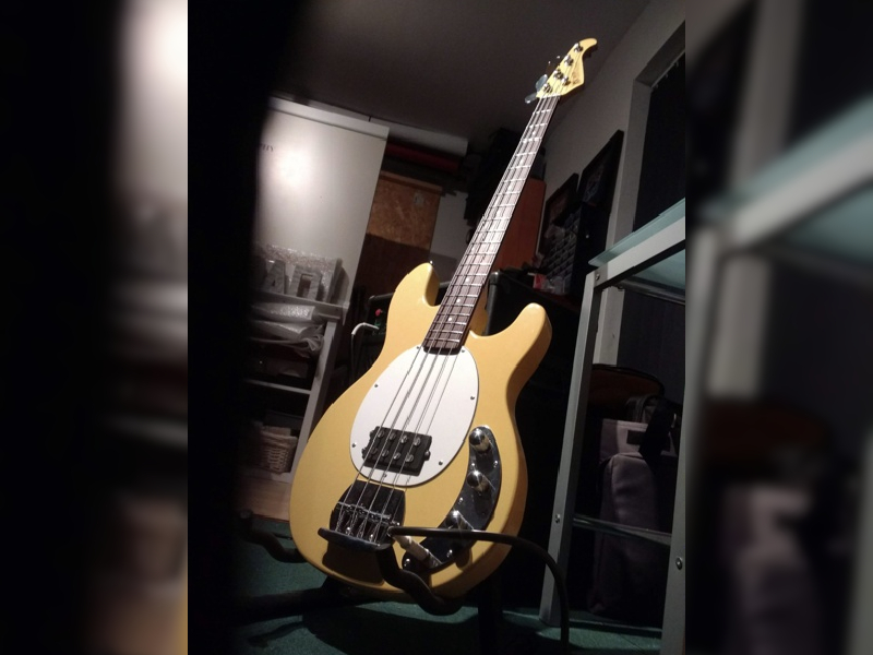 Music Man Basses Showcase