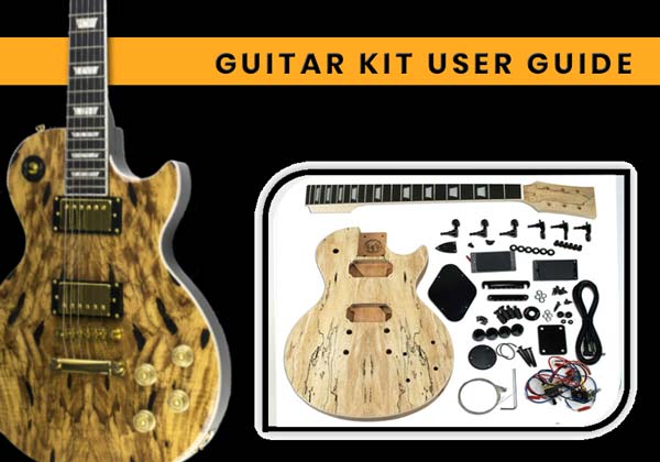 LP paul guitar build from LP guitar kit