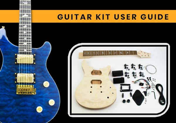 Building a PRS with tremolo Guitar kit