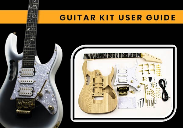 JEM IBANEZ guitar build from Rickenbacker guitar kit