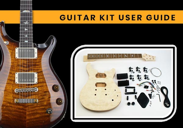 Building a PRS with tune-o-matic Guitar kit