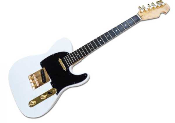 Building a guitar - Ready to paint guitar kit
