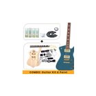 Guitar Kit with Nitro Paint Set