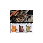 free gift for orders over 250 Euros with guitar kits and guitar building products