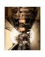 Photographied Beast Guitar Skin - 50x60cm
