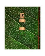Green Leaf Guitar Skin - 50x60cm
