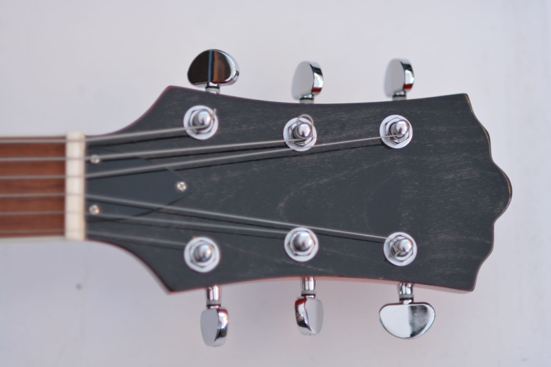 Electro-Acoustic