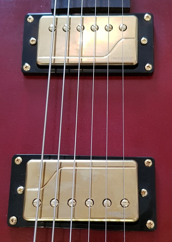SG