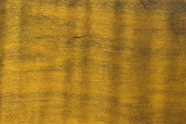 w/o dilution & with black stain