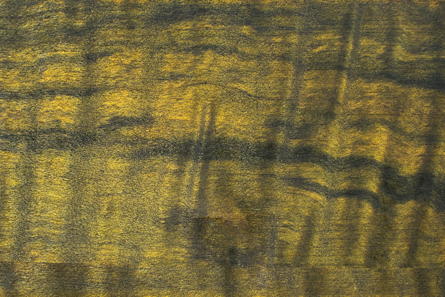 w/o dilution & with black stain (strong)