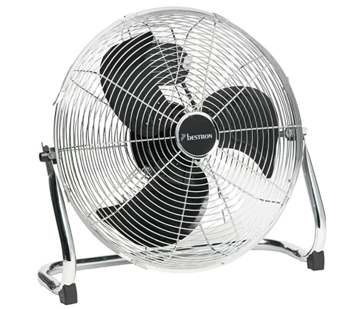 Fan