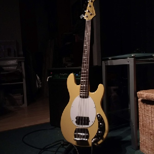 Bass Guitar Kits
