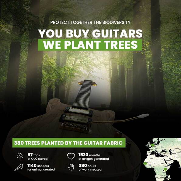 Guitar Kit Ecology