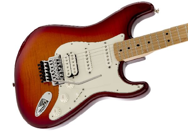 Floyd Rose